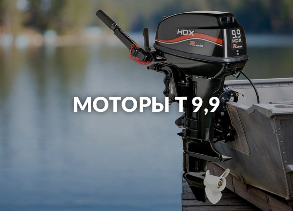 Моторы T 9,9