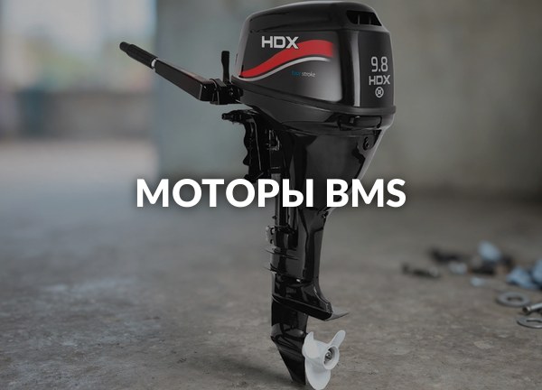 Моторы BMS