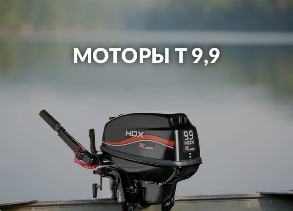 Моторы T 9,9