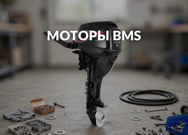 Моторы BMS