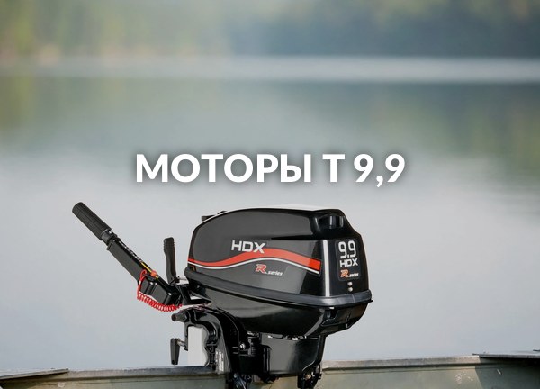 Моторы T 9,9