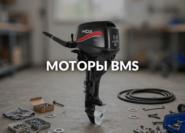Моторы BMS