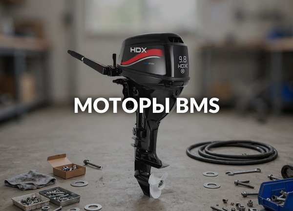 Моторы BMS