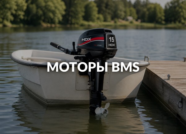 Моторы BMS