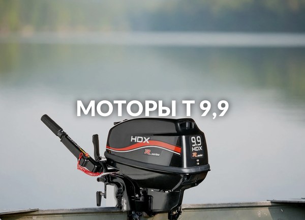 Моторы T 9,9