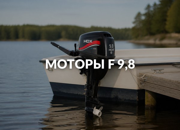 Моторы F 9,8