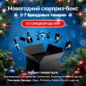 Новогодний сюрприз-бокс HDX 1